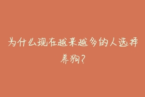 为什么现在越来越多的人选择养狗？