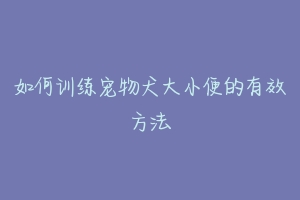 如何训练宠物犬大小便的有效方法