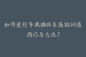 如何进行布偶猫抓东西的训练技巧及方法？