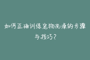 如何正确训练宠物洗澡的步骤与技巧？