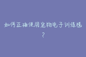 如何正确使用宠物电子训练毯？