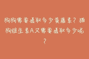 狗狗需要摄取多少黄藤素？猫狗维生素A又需要摄取多少呢？