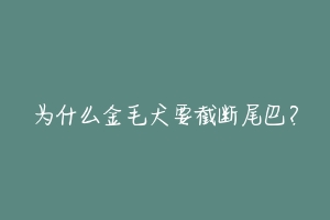 为什么金毛犬要截断尾巴？