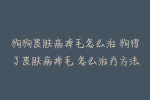 狗狗皮肤病掉毛怎么治 狗得了皮肤病掉毛 怎么治疗方法