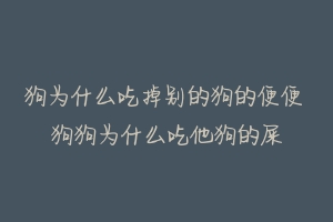 狗为什么吃掉别的狗的便便 狗狗为什么吃他狗的屎