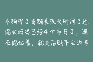 小狗得了脊髓炎很长时间了还能会好吗已经4个多月了，现在能站着，就是后腿不会迈步，这么长时间还能好吗 狗脊髓炎怎么引起的