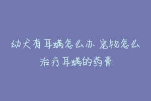 幼犬有耳螨怎么办 宠物怎么治疗耳螨的药膏