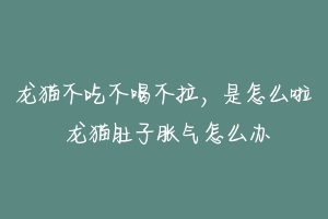 龙猫不吃不喝不拉，是怎么啦 龙猫肚子胀气怎么办