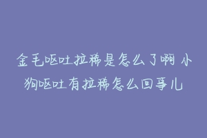 金毛呕吐拉稀是怎么了啊 小狗呕吐有拉稀怎么回事儿