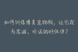 如何训练博美宠物狗，让它成为忠诚、听话的好伙伴？