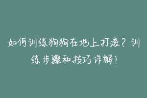 如何训练狗狗在地上打滚？训练步骤和技巧详解！