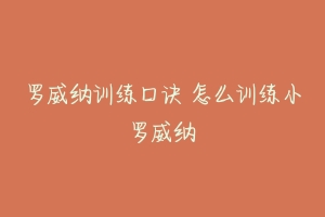 罗威纳训练口诀 怎么训练小罗威纳