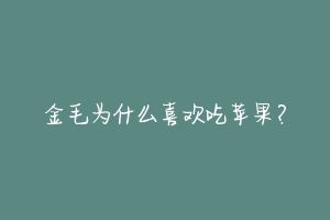 金毛为什么喜欢吃苹果？