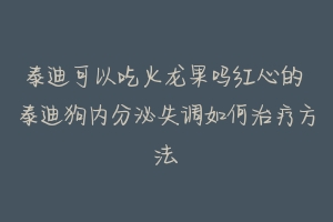 泰迪可以吃火龙果吗红心的 泰迪狗内分泌失调如何治疗方法