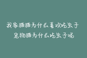 我家猫猫为什么喜欢吃虫子 宠物猫为什么吃虫子呢