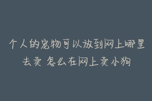 个人的宠物可以放到网上哪里去卖 怎么在网上卖小狗