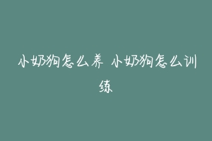 小奶狗怎么养 小奶狗怎么训练