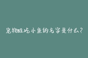 宠物蛙吃小鱼的名字是什么？