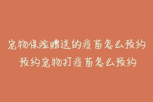 宠物保险赠送的疫苗怎么预约 预约宠物打疫苗怎么预约