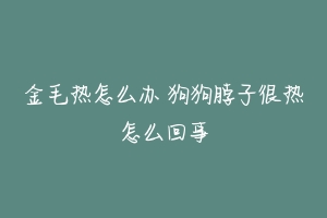 金毛热怎么办 狗狗脖子很热怎么回事