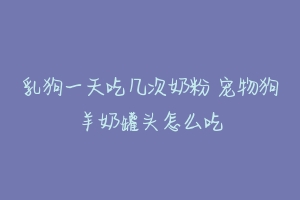 乳狗一天吃几次奶粉 宠物狗羊奶罐头怎么吃