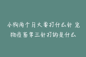 小狗两个月大要打什么针 宠物疫苗第三针打的是什么