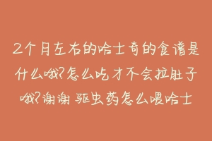 2个月左右的哈士奇的食谱是什么哦?怎么吃才不会拉肚子哦?谢谢 驱虫药怎么喂哈士奇