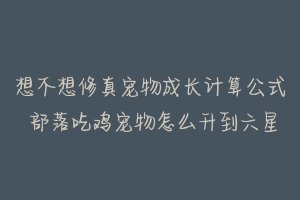 想不想修真宠物成长计算公式 部落吃鸡宠物怎么升到六星