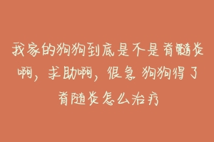 我家的狗狗到底是不是脊髓炎啊，求助啊，很急 狗狗得了脊随炎怎么治疗