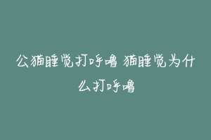 公猫睡觉打呼噜 猫睡觉为什么打呼噜