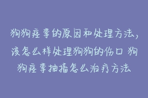 狗狗痉挛的原因和处理方法，该怎么样处理狗狗的伤口 狗狗痉挛抽搐怎么治疗方法