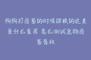 狗狗打疫苗的时候四联的这类是什么意思 怎么测试宠物疫苗有效