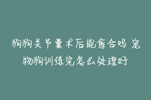 狗狗关节囊术后能愈合吗 宠物狗训练完怎么处理好