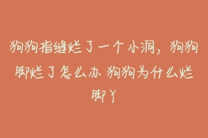 狗狗指缝烂了一个小洞，狗狗脚烂了怎么办 狗狗为什么烂脚丫