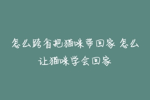 怎么跨省把猫咪带回家 怎么让猫咪学会回家