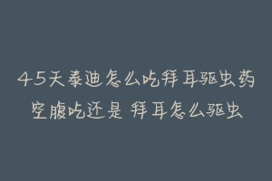 45天泰迪怎么吃拜耳驱虫药空腹吃还是 拜耳怎么驱虫