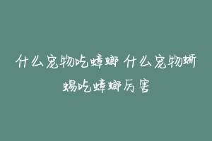 什么宠物吃蟑螂 什么宠物蜥蜴吃蟑螂厉害