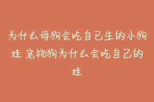 为什么母狗会吃自已生的小狗娃 宠物狗为什么会吃自己的娃