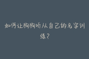 如何让狗狗听从自己的名字训练？