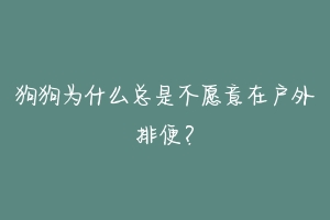 狗狗为什么总是不愿意在户外排便？