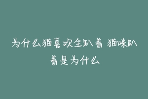 为什么猫喜欢全趴着 猫咪趴着是为什么