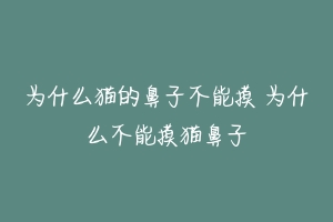 为什么猫的鼻子不能摸 为什么不能摸猫鼻子