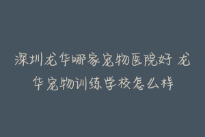 深圳龙华哪家宠物医院好 龙华宠物训练学校怎么样