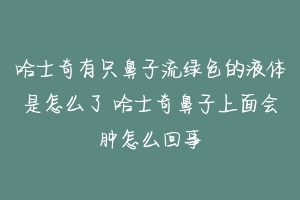 哈士奇有只鼻子流绿色的液体是怎么了 哈士奇鼻子上面会肿怎么回事