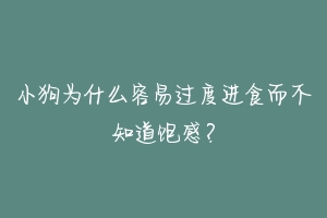 小狗为什么容易过度进食而不知道饱感？