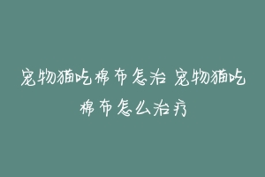 宠物猫吃棉布怎治 宠物猫吃棉布怎么治疗