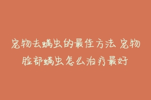 宠物去螨虫的最佳方法 宠物脸部螨虫怎么治疗最好