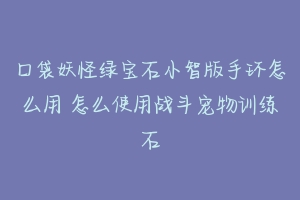 口袋妖怪绿宝石小智版手环怎么用 怎么使用战斗宠物训练石