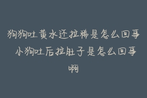 狗狗吐黄水还拉稀是怎么回事 小狗吐后拉肚子是怎么回事啊