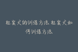 杜宾犬的训练方法 杜宾犬如何训练方法